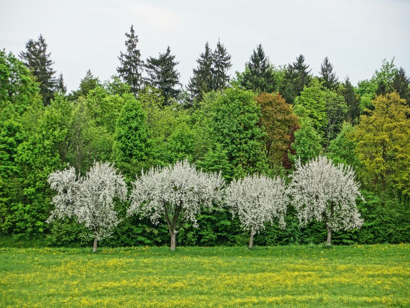 15224772-Einzelzimmer-1-Bad Feilnbach-800x600-1