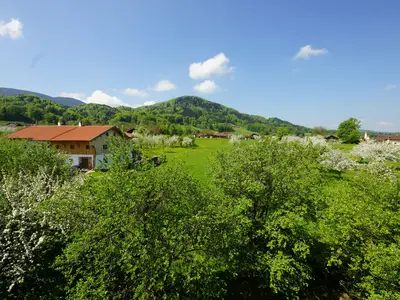 Blick in den Garten