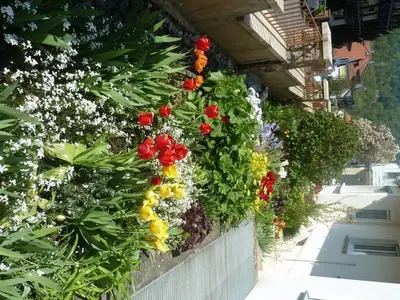 Einzelzimmer für 1 Person (18 m²) in Bad König 5/6