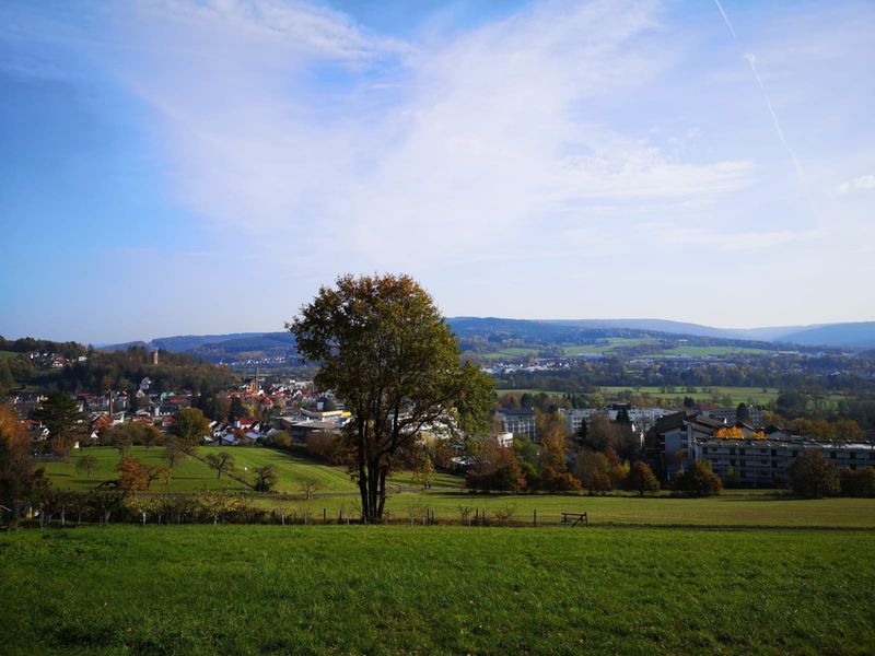 23199735-Einzelzimmer-1-Bad Soden-Salmünster-800x600-2