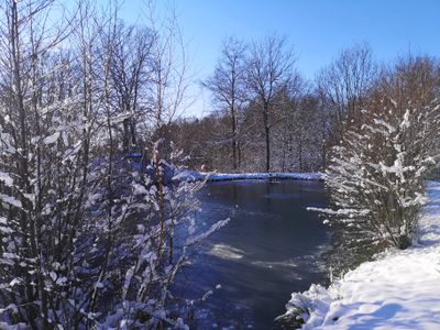 Winter im Ortsteil Alsberg