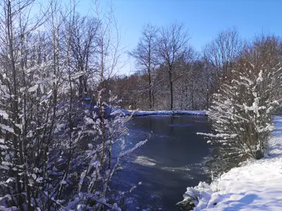 Winter im Ortsteil Alsberg