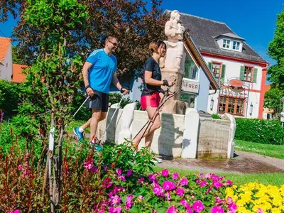Einzelzimmer für 1 Person (20 m²) in Bad Waltersdorf 2/10