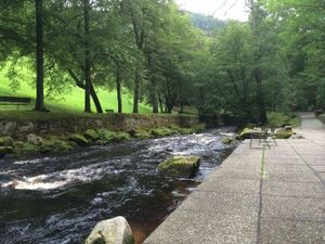 18398226-Einzelzimmer-1-Bad Wildbad Im Schwarzwald-300x225-1