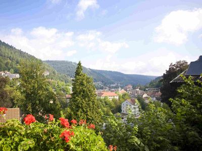 Blick auf Bad Wildbad