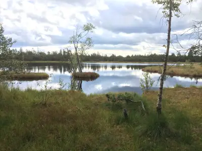 Hochmoor