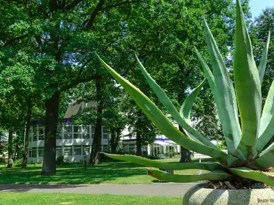 Einzelzimmer für 1 Person in Bad Wilsnack 1/2