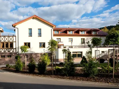 Einzelzimmer für 1 Person in Baden-Baden 1/8