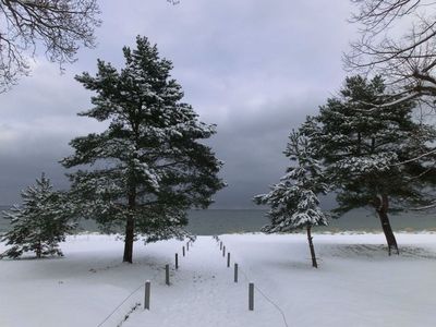 Einzelzimmer für 2 Personen (26 m²) in Binz (Ostseebad) 4/10