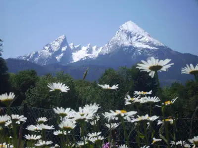 Blick, wenn Sie im Garten liegen