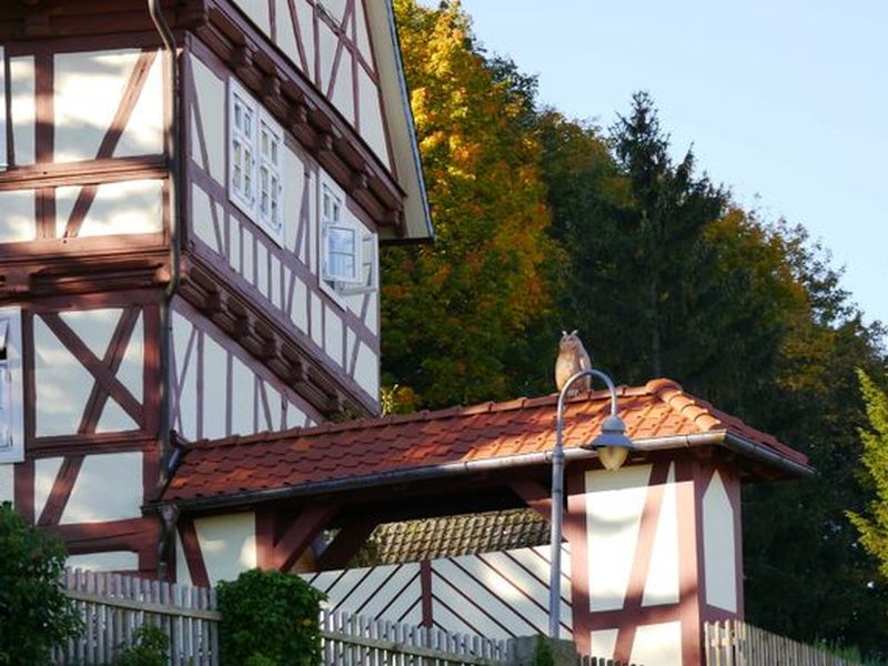 18940577-Einzelzimmer-5-Blankenburg (Harz)-800x600-1