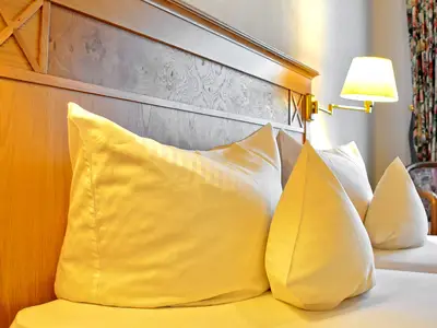 Einzelzimmer für 1 Person in Breisach am Rhein 4/5