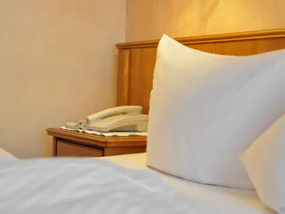 Einzelzimmer für 1 Person in Breisach am Rhein 10/10