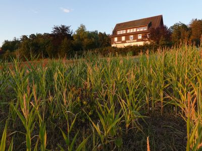 Pension Waldliesel