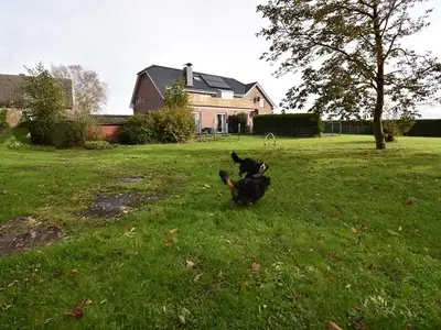 Einzelzimmer für 1 Person (9 m²) in Dornum 8/10