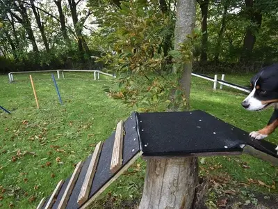 Einzelzimmer für 1 Person (9 m²) in Dornum 9/10