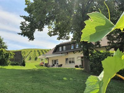 Terrasse mit Liegewiese