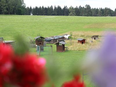 Einzelzimmer für 1 Person in Dürbheim 7/10