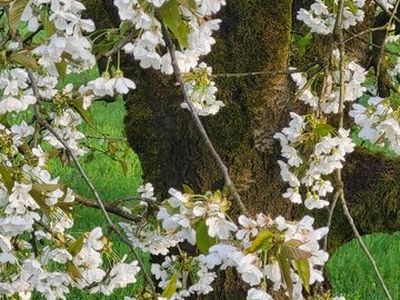 Einzelzimmer für 1 Person (9 m²) in Egloffstein 9/10