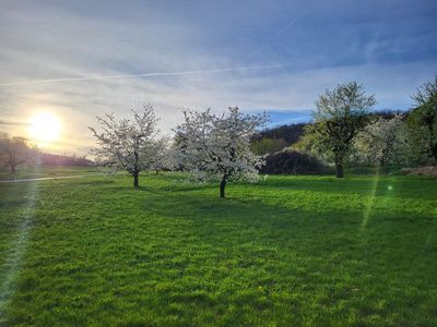 Einzelzimmer für 1 Person (9 m²) in Egloffstein 10/10