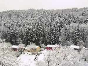 Einzelzimmer für 1 Person (9 m²) in Egloffstein