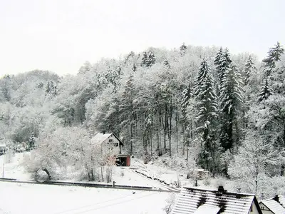 Einzelzimmer für 1 Person (9 m²) in Egloffstein 2/10