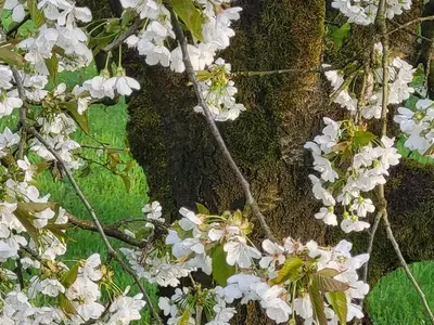 Einzelzimmer für 1 Person (9 m²) in Egloffstein 8/10