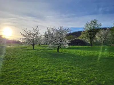 Einzelzimmer für 1 Person (9 m²) in Egloffstein 9/10