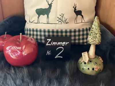 Einzelzimmer für 1 Person (8 m²) in Eibenstock 9/10