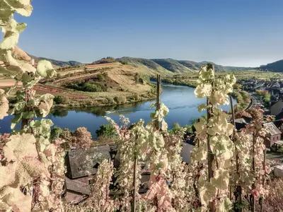 Moselstern***Hotel "Weinhaus Fuhrmann"