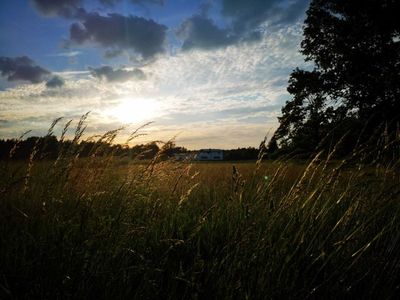 Einzelzimmer für 2 Personen (15 m²) in Elsterheide 3/10