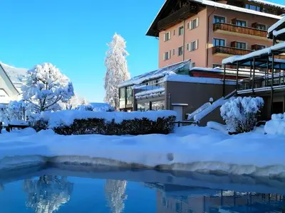 Einzelzimmer für 1 Person in Flims 3/10
