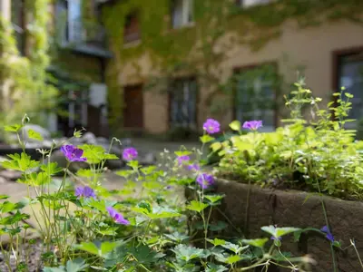 Einzelzimmer für 1 Person in Freiburg im Breisgau 5/6