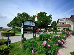 Einzelzimmer für 1 Person in Freiburg