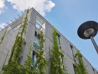 Einzelzimmer für 1 Person in Freiburg im Breisgau 1/3