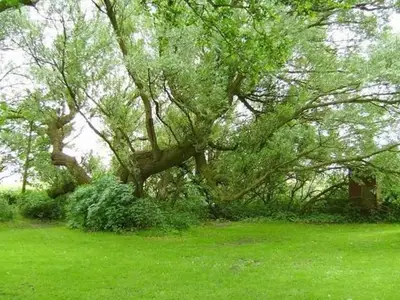 Einzelzimmer für 1 Person in Friedrichskoog 5/6