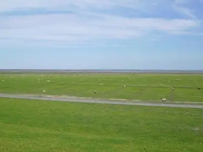 Einzelzimmer für 1 Person in Friedrichskoog 4/6