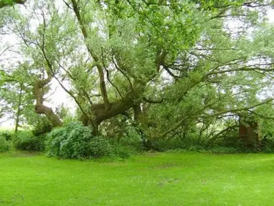 Einzelzimmer für 1 Person in Friedrichskoog 5/6