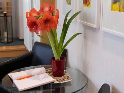 Einzelzimmer für 1 Person (18 m²) in Görlitz 6/10 Einzelzimmer für 1 Person (18 m²) in Görlitz 6/10