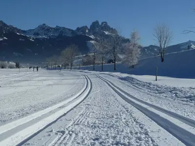 Einzelzimmer für 1 Person in Haldensee 2/10