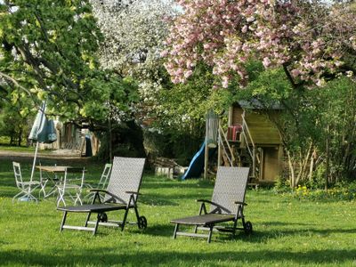 Garten im Frühling