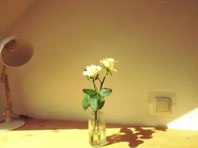 Einzelzimmer für 1 Person in Hamburg 6/6