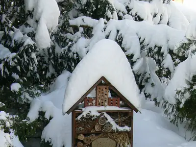 Einzelzimmer für 1 Person (7 m²) in Hartmannsdorf (Sachsen) 8/9