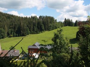 23380411-Einzelzimmer-1-Hinterzarten-300x225-1