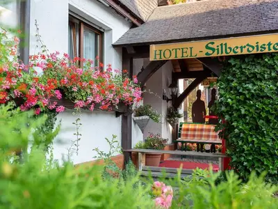 Einzelzimmer für 1 Person (15 m²) in Hinterzarten 3/8