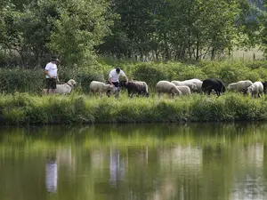 Einzelzimmer für 1 Person in Hohenberg An Der Eger