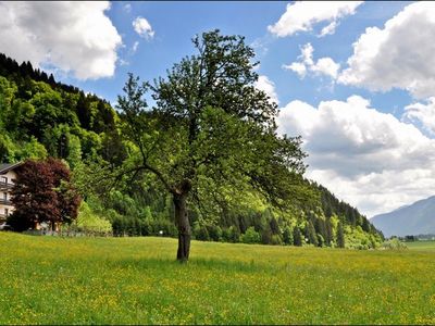 Einzelzimmer für 1 Person (9 m²) in Jenig 10/10