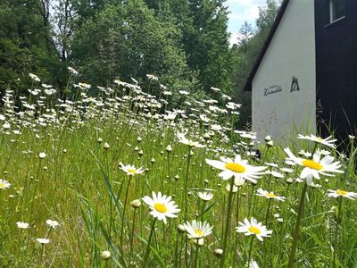 Einzelzimmer für 1 Person in Kahla (Thüringen) 8/10