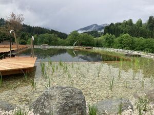 23315394-Einzelzimmer-1-Kirchberg in Tirol-300x225-3