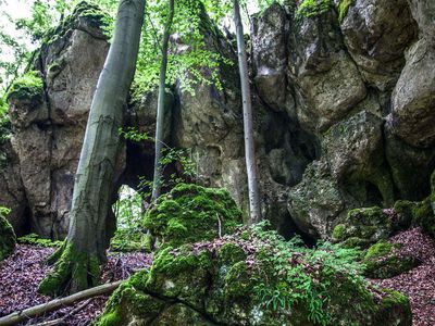 Einzelzimmer für 1 Person in Königstein 9/10